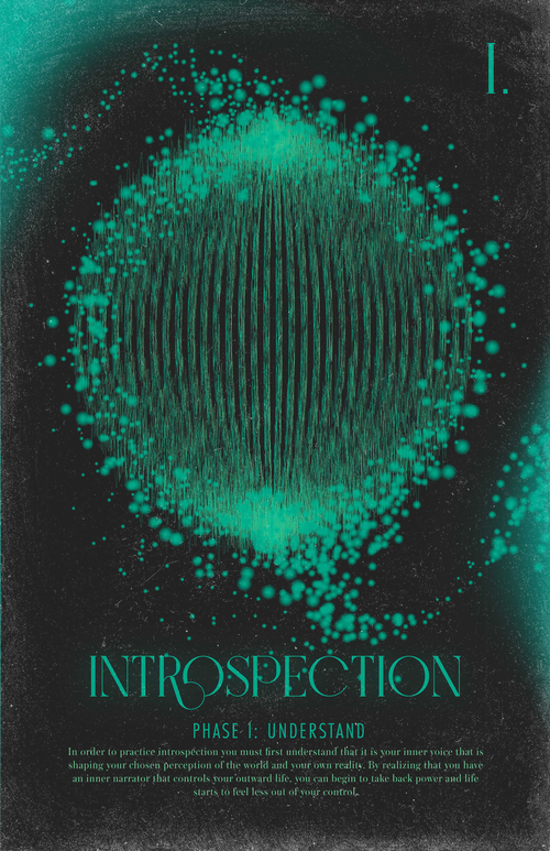 Introspection Poster (Phase I)