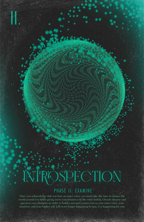 Introspection Poster (Phase II)
