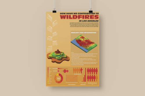 Wildfire Infographic