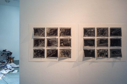 Hot Pressed, Eighteen 8”x10” Silver Gelatin Fiber Prints mounted on two 32” x40” Museum Mounting Board, 2021