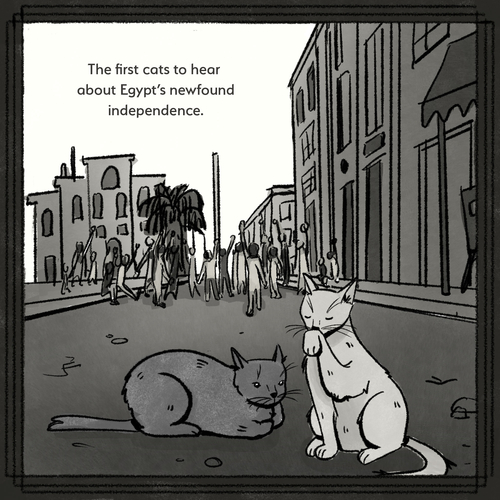The first cats to hear about Egypt's newfound independence.