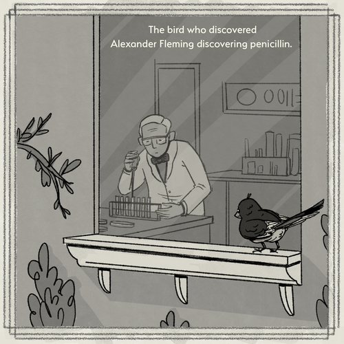 The bird who discovered Alexander Fleming discovering penicillin.