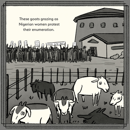 These goats grazing as Nigerian women protest their enumeration.